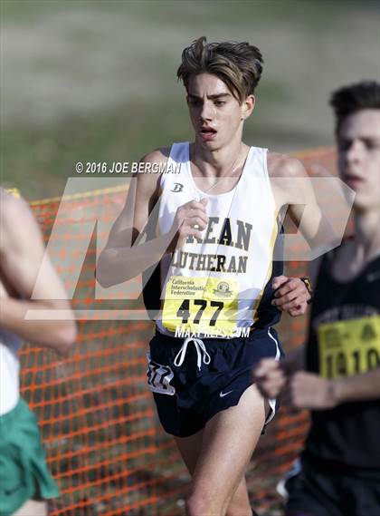 Thumbnail 3 in CIF State Cross Country Championships (D4 Boys Race) photogallery.