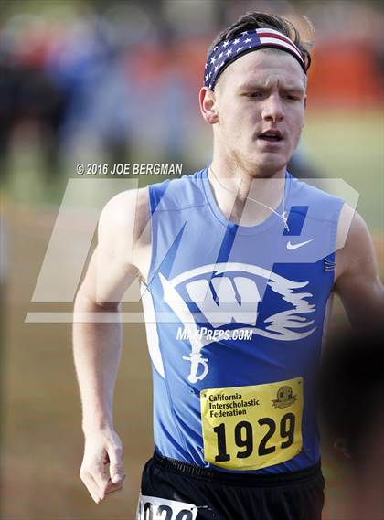 Thumbnail 2 in CIF State Cross Country Championships (D4 Boys Race) photogallery.