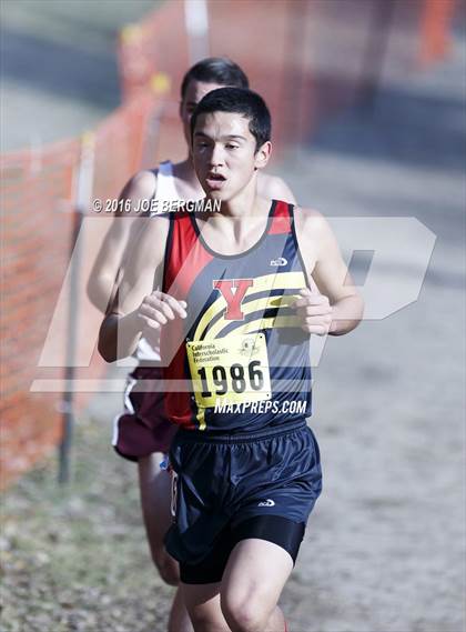 Thumbnail 3 in CIF State Cross Country Championships (D4 Boys Race) photogallery.