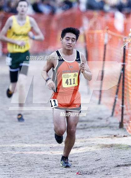 Thumbnail 3 in CIF State Cross Country Championships (D4 Boys Race) photogallery.
