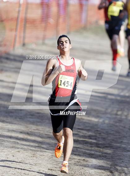 Thumbnail 2 in CIF State Cross Country Championships (D4 Boys Race) photogallery.