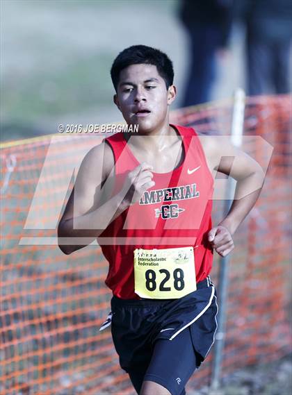Thumbnail 1 in CIF State Cross Country Championships (D4 Boys Race) photogallery.