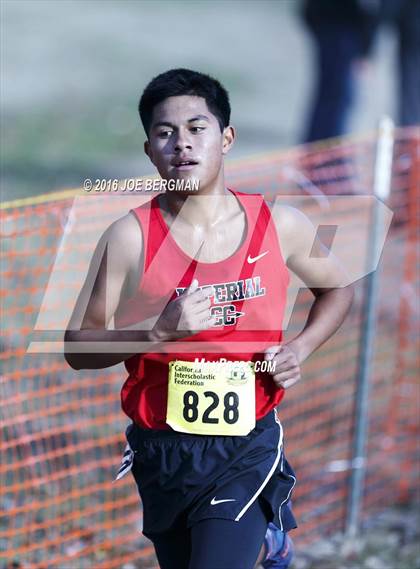 Thumbnail 2 in CIF State Cross Country Championships (D4 Boys Race) photogallery.
