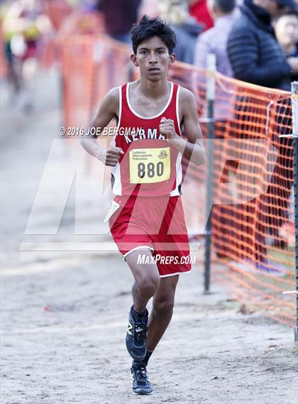 Thumbnail 2 in CIF State Cross Country Championships (D4 Boys Race) photogallery.