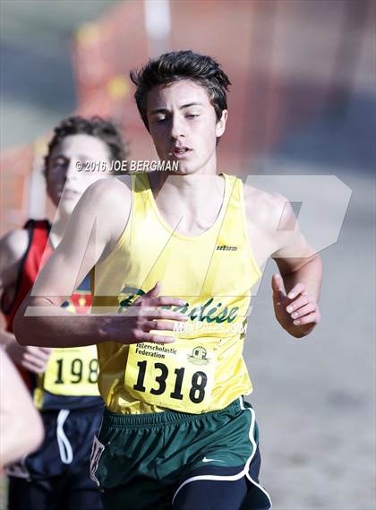 Thumbnail 3 in CIF State Cross Country Championships (D4 Boys Race) photogallery.