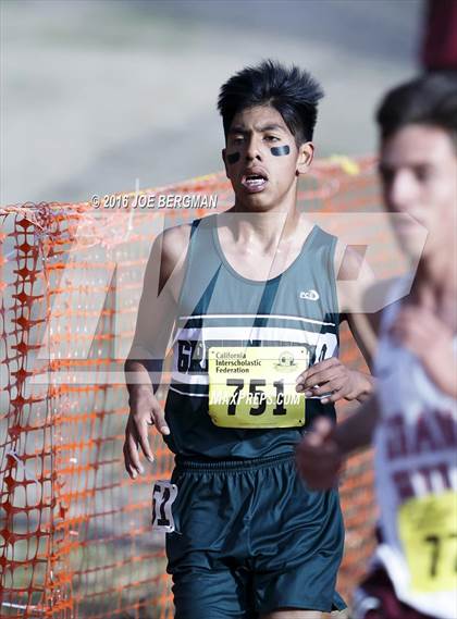 Thumbnail 1 in CIF State Cross Country Championships (D4 Boys Race) photogallery.