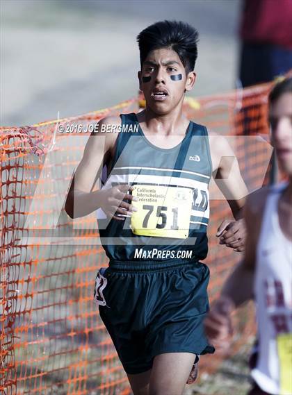 Thumbnail 3 in CIF State Cross Country Championships (D4 Boys Race) photogallery.