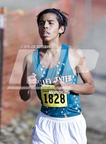 Thumbnail 2 in CIF State Cross Country Championships (D4 Boys Race) photogallery.