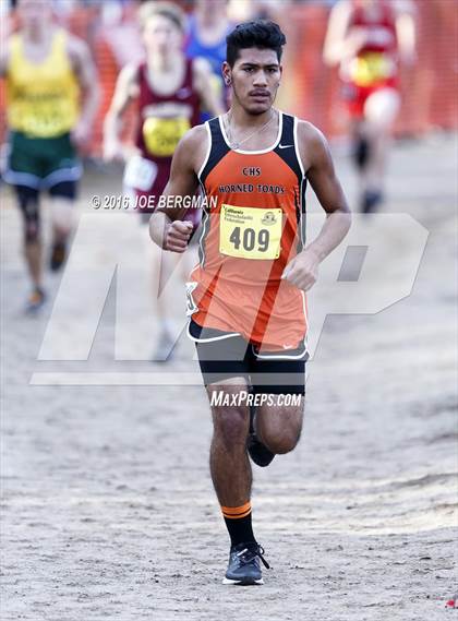 Thumbnail 2 in CIF State Cross Country Championships (D4 Boys Race) photogallery.