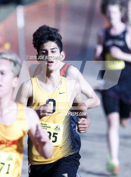 Thumbnail 3 in CIF State Cross Country Championships (D4 Boys Race) photogallery.
