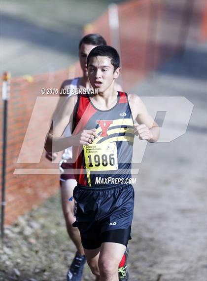 Thumbnail 2 in CIF State Cross Country Championships (D4 Boys Race) photogallery.