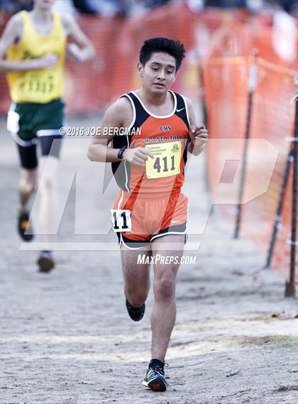 Thumbnail 2 in CIF State Cross Country Championships (D4 Boys Race) photogallery.