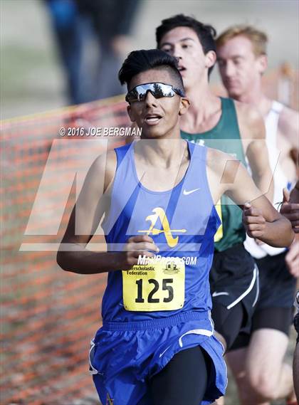 Thumbnail 2 in CIF State Cross Country Championships (D4 Boys Race) photogallery.