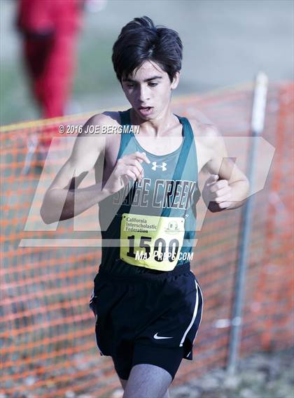 Thumbnail 1 in CIF State Cross Country Championships (D4 Boys Race) photogallery.