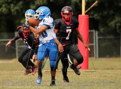 Thumbnail 3 in Kenwood @ Dulaney photogallery.