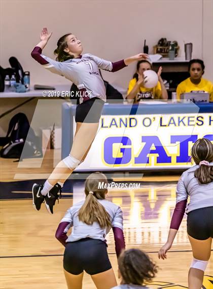 Thumbnail 1 in Wiregrass Ranch @ Land O' Lakes photogallery.