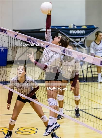 Thumbnail 1 in Wiregrass Ranch @ Land O' Lakes photogallery.