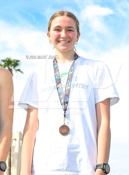 Thumbnail 2 in AIA D-I Girls State Championship (Awards) photogallery.