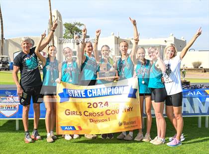 Thumbnail 2 in AIA D-I Girls State Championship (Awards) photogallery.