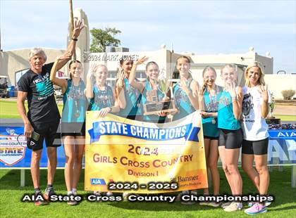 Thumbnail 1 in AIA D-I Girls State Championship (Awards) photogallery.