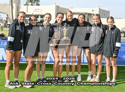 Thumbnail 3 in AIA D-I Girls State Championship (Awards) photogallery.