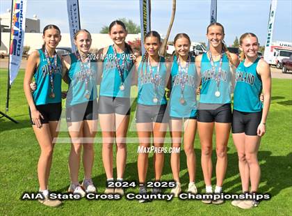 Thumbnail 2 in AIA D-I Girls State Championship (Awards) photogallery.