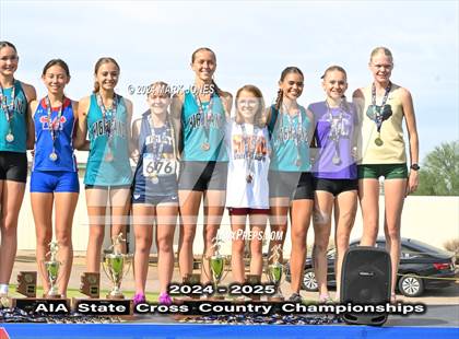 Thumbnail 1 in AIA D-I Girls State Championship (Awards) photogallery.