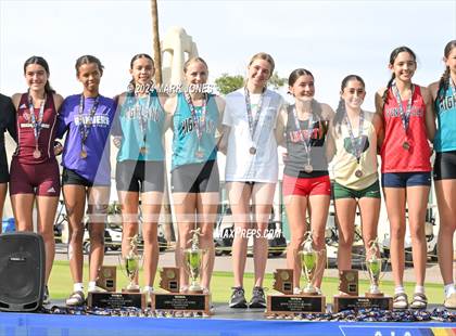 Thumbnail 3 in AIA D-I Girls State Championship (Awards) photogallery.