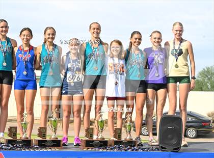 Thumbnail 3 in AIA D-I Girls State Championship (Awards) photogallery.