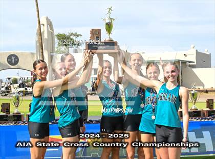 Thumbnail 2 in AIA D-I Girls State Championship (Awards) photogallery.