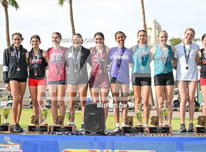 Thumbnail 2 in AIA D-I Girls State Championship (Awards) photogallery.