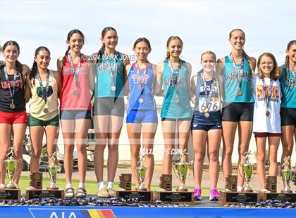 Thumbnail 2 in AIA D-I Girls State Championship (Awards) photogallery.