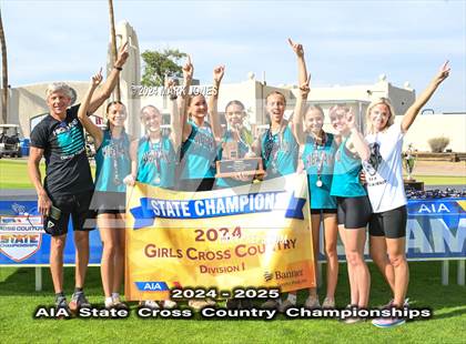 Thumbnail 3 in AIA D-I Girls State Championship (Awards) photogallery.