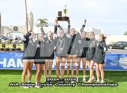 Thumbnail 2 in AIA D-I Girls State Championship (Awards) photogallery.