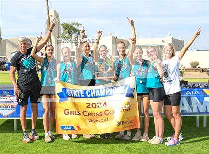 Thumbnail 1 in AIA D-I Girls State Championship (Awards) photogallery.