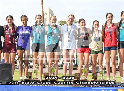 Thumbnail 1 in AIA D-I Girls State Championship (Awards) photogallery.