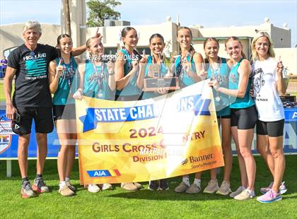 Thumbnail 3 in AIA D-I Girls State Championship (Awards) photogallery.
