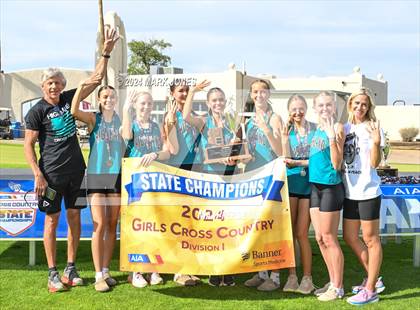Thumbnail 3 in AIA D-I Girls State Championship (Awards) photogallery.