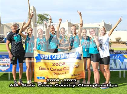 Thumbnail 2 in AIA D-I Girls State Championship (Awards) photogallery.