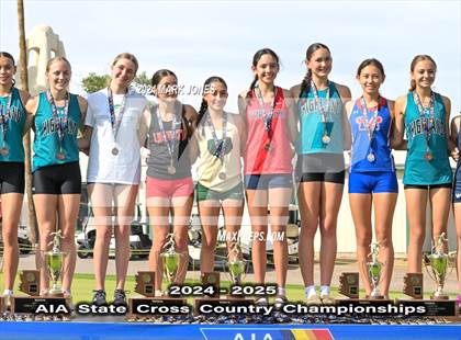 Thumbnail 2 in AIA D-I Girls State Championship (Awards) photogallery.