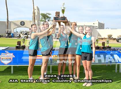 Thumbnail 3 in AIA D-I Girls State Championship (Awards) photogallery.