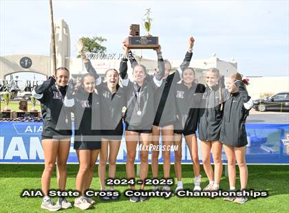 Thumbnail 1 in AIA D-I Girls State Championship (Awards) photogallery.