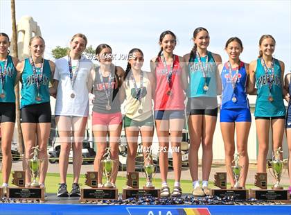 Thumbnail 1 in AIA D-I Girls State Championship (Awards) photogallery.