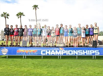 Thumbnail 1 in AIA D-I Girls State Championship (Awards) photogallery.