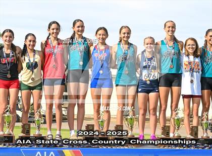 Thumbnail 3 in AIA D-I Girls State Championship (Awards) photogallery.