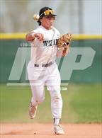 Photo from the gallery "Mead @ Windsor"