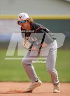 Photo from the gallery "Mead @ Windsor"