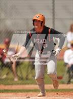 Photo from the gallery "Mead @ Windsor"