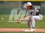 Photo from the gallery "Mead @ Windsor"
