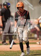 Photo from the gallery "Mead @ Windsor"